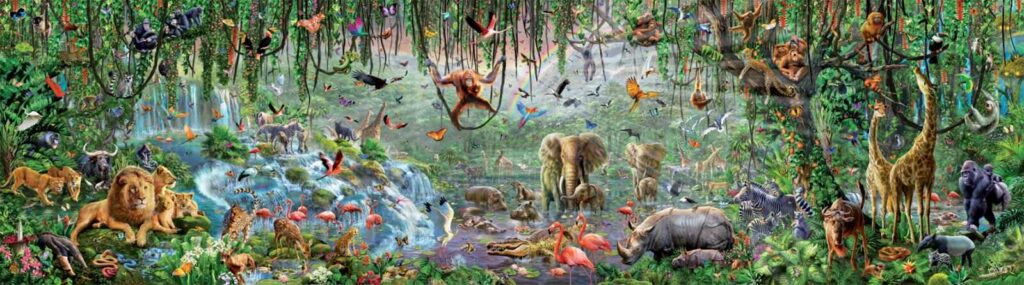 Educa - Wild life