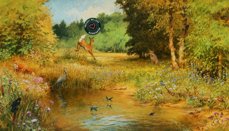 Puzzling Ecosystems : the savage fen